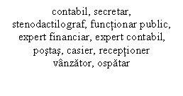 Text Box: contabil, secretar,
stenodactilograf, functionar public,
expert financiar, expert contabil,
postas, casier, receptioner
vanzator, ospatar

